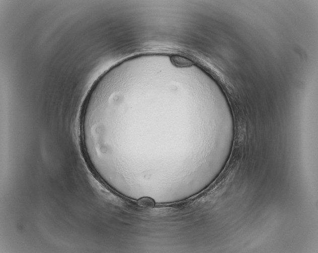 X0000110981471200907101359