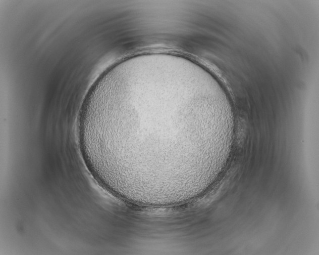 X0000110981474200907101359