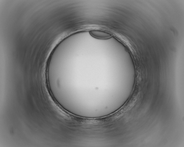 X0000110981475200907101359