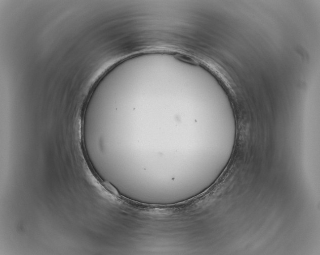 X0000110981476200907101359