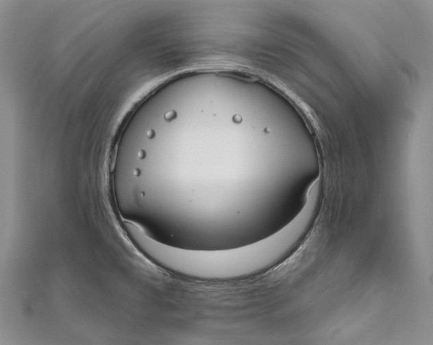 X0000110981477200907101359