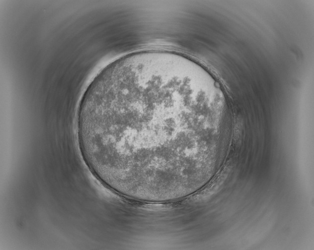 X0000110981478200907101359