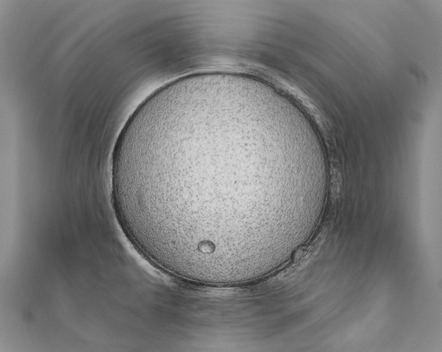 X0000110981479200907101359