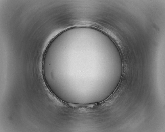 X0000110981480200907101359