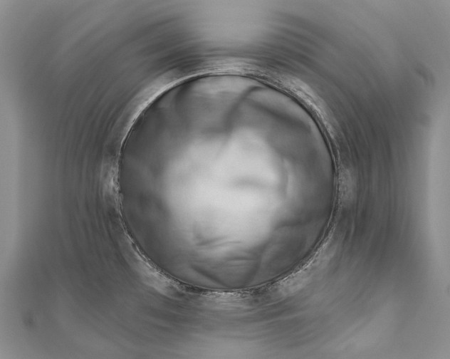 X0000110981481200907101359