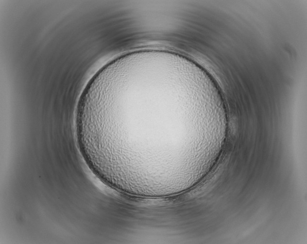 X0000110981482200907101359