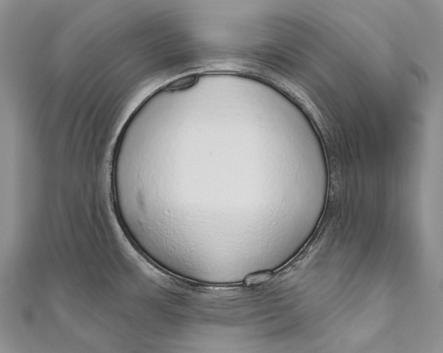 X0000110981483200907101359