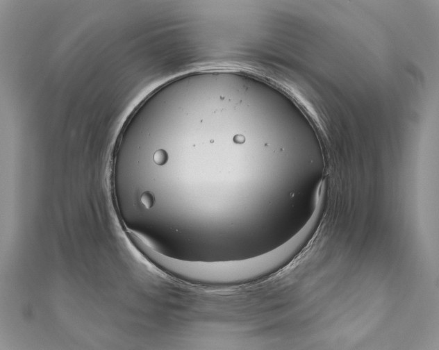 X0000110981484200907101359