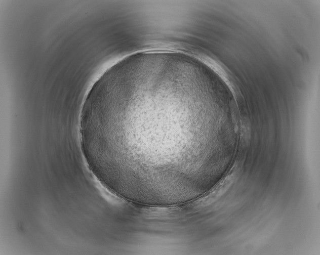 X0000110981485200907101359