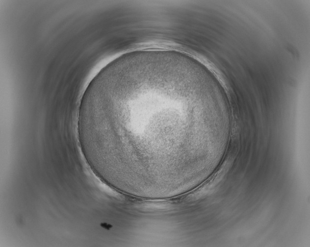 X0000110981486200907101359