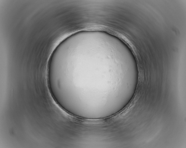 X0000110981487200907101359