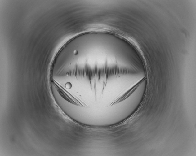 X0000110981488200907101359