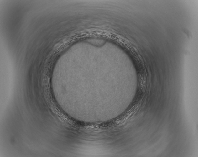 X0000110981489200907101358