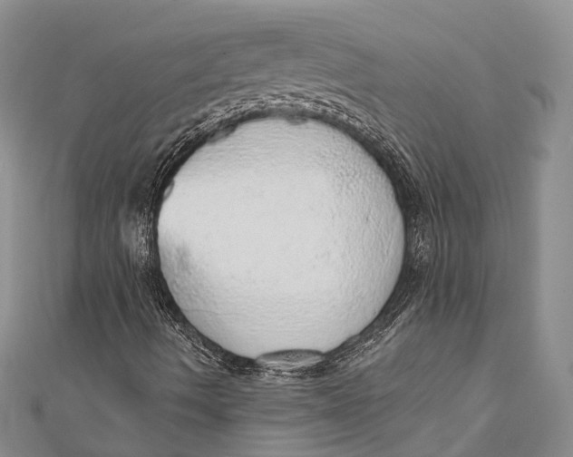 X0000110981490200907101358