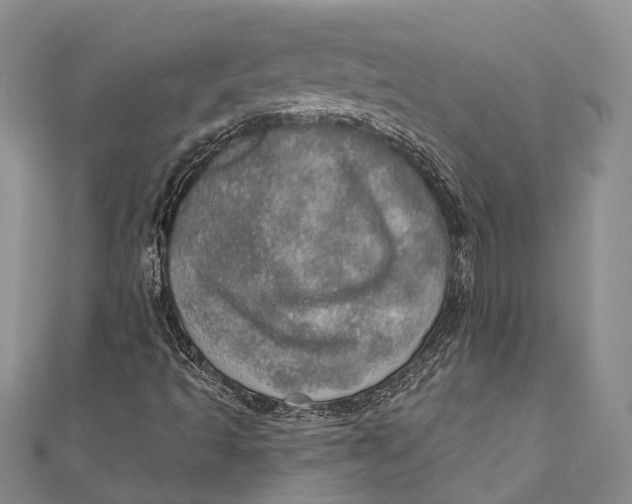 X0000110981493200907101358