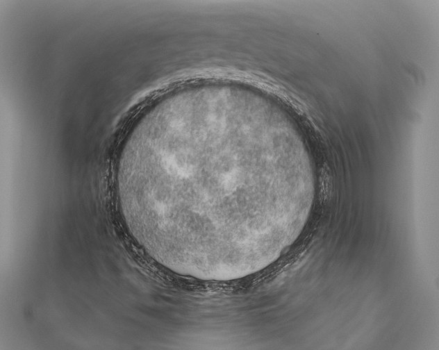 X0000110981494200907101358