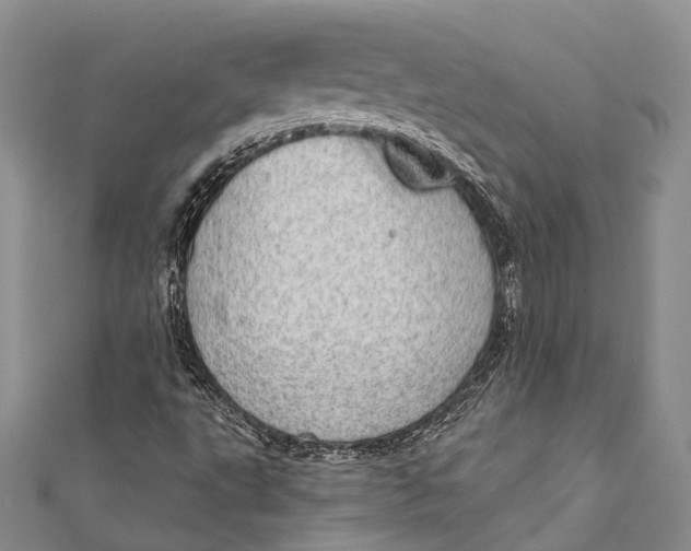 X0000110981495200907101358