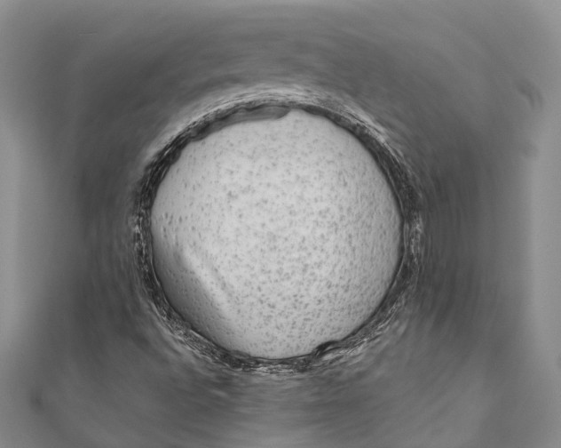 X0000110981496200907101358