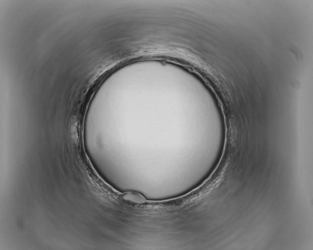 X0000110981497200907101358