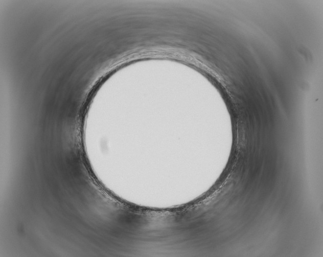 X0000110981498200907101358