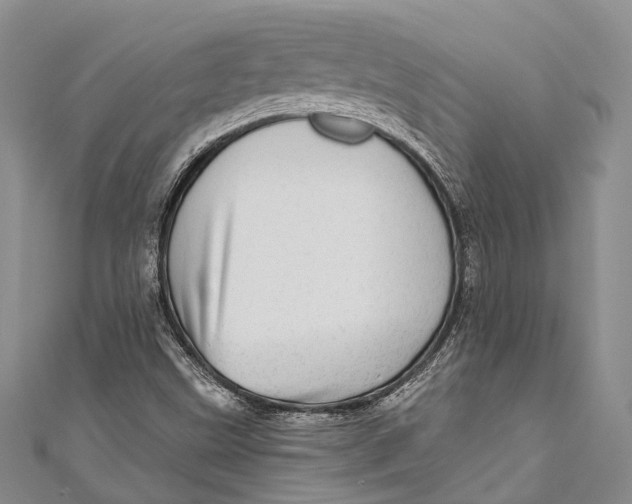 X0000110981499200907101358