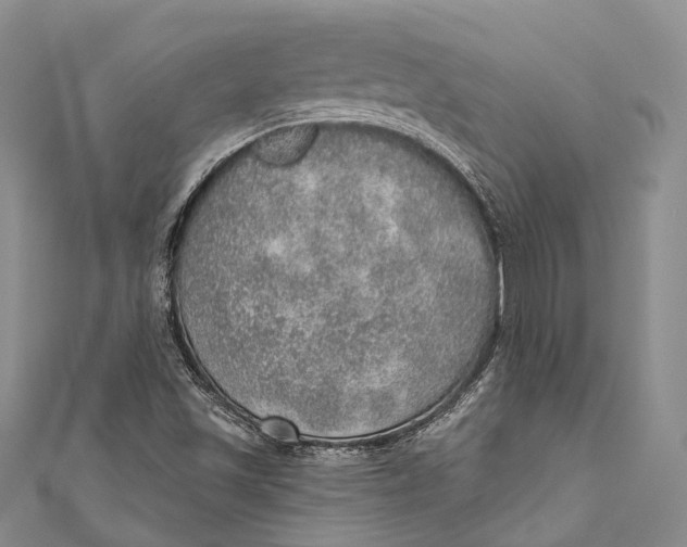 X0000110981501200907101358