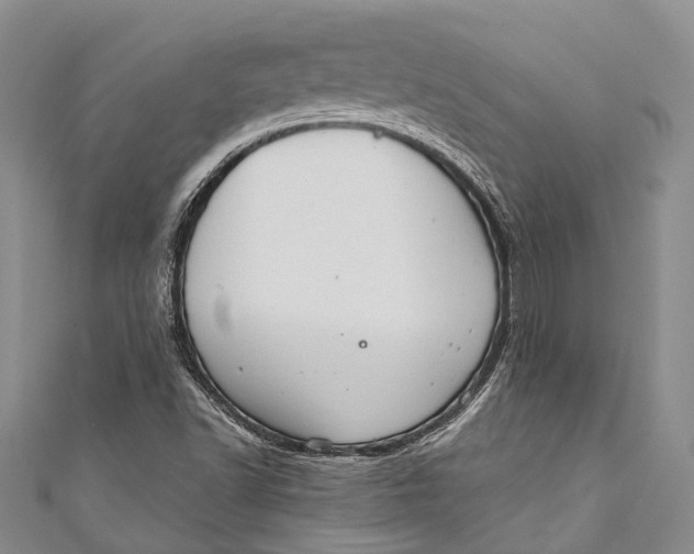 X0000110981502200907101358