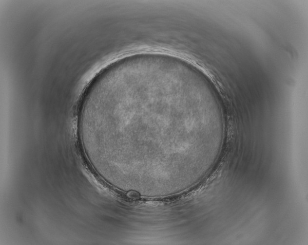 X0000110981503200907101358