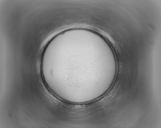 X0000110981504200907101358