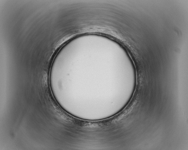 X0000110981505200907101358