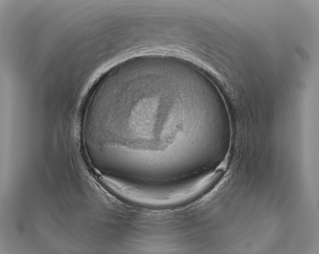 X0000110981506200907101358