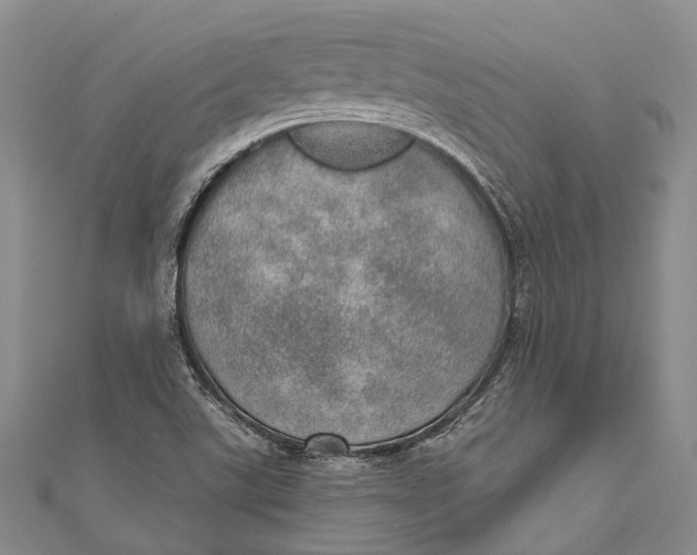 X0000110981507200907101358