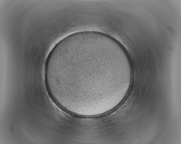 X0000110981508200907101358