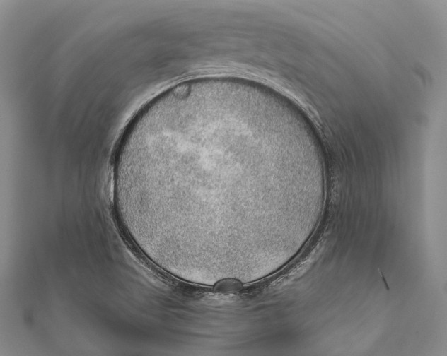 X0000110981509200907101358