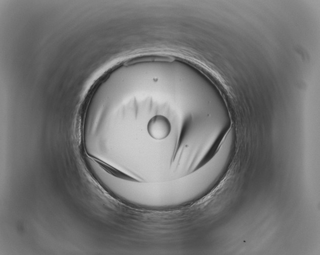 X0000110981510200907101358