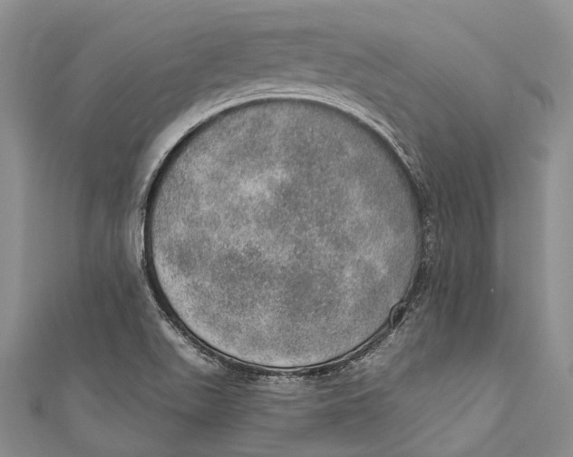 X0000110981511200907101358