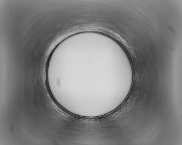 X0000110981512200907101358