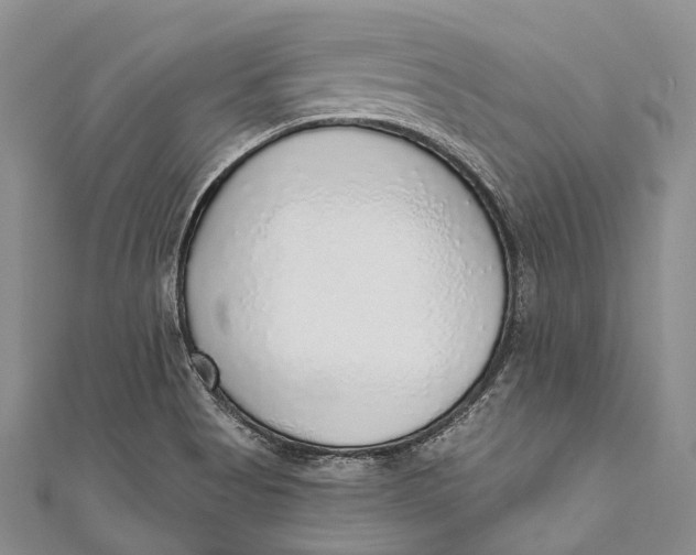 X0000110981513200907101358