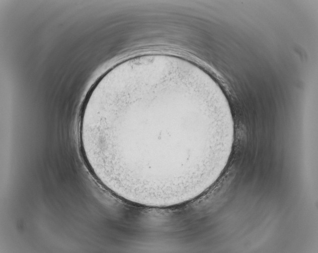 X0000110981514200907101358