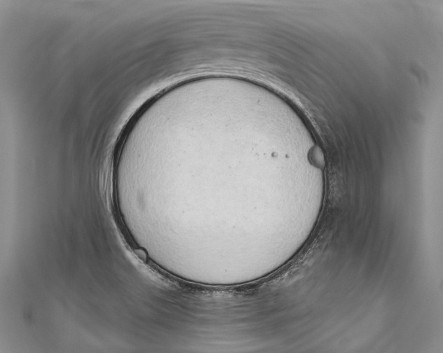 X0000110981515200907101358