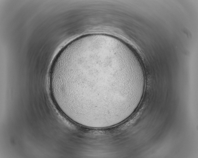 X0000110981517200907101358