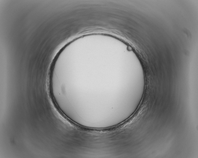 X0000110981518200907101358