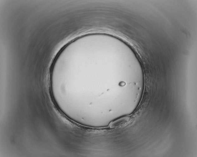 X0000110981519200907101358