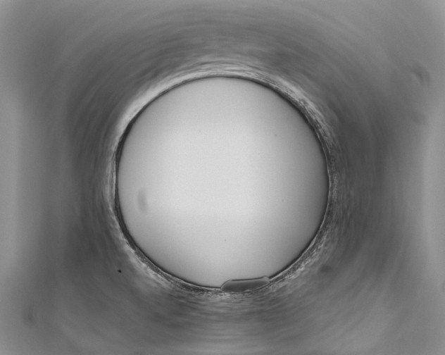 X0000110981520200907101358