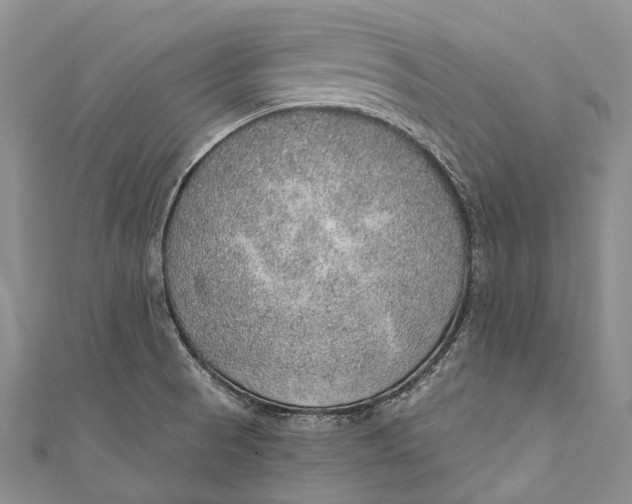 X0000110981521200907101358