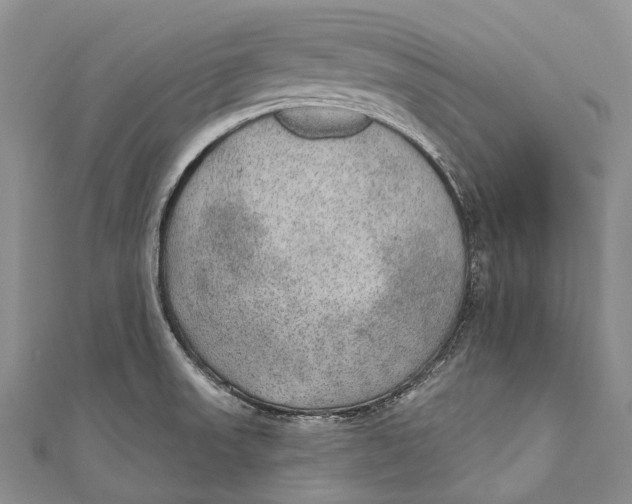 X0000110981523200907101358