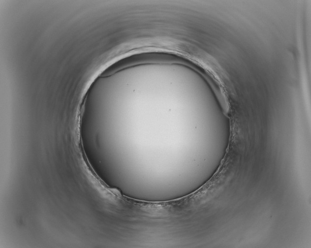 X0000110981524200907101358