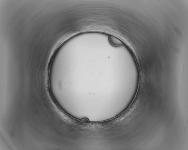 X0000110981525200907101358