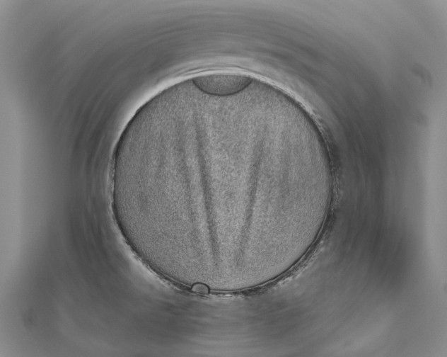 X0000110981526200907101358