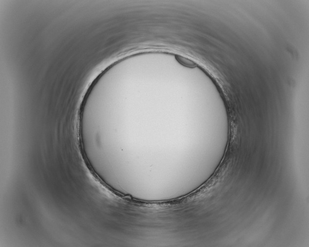 X0000110981527200907101359